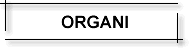 Organi
